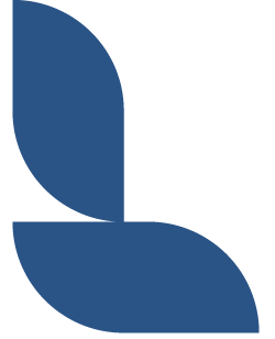 Lumion